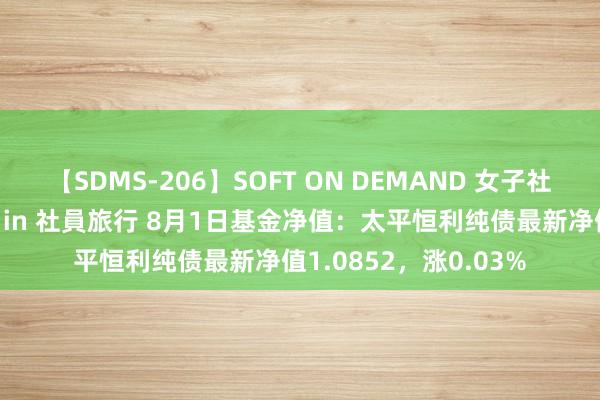 【SDMS-206】SOFT ON DEMAND 女子社員スペシャル野球拳 in 社員旅行 8月1日基金净值：太平恒利纯债最新净值1.0852，涨0.03%