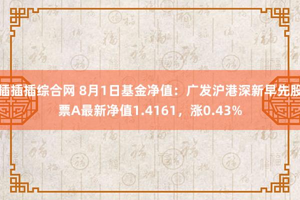 插插插综合网 8月1日基金净值：广发沪港深新早先股票A最新净值1.4161，涨0.43%