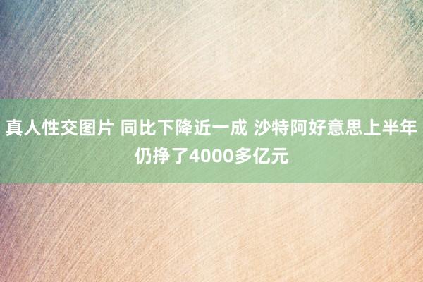 真人性交图片 同比下降近一成 沙特阿好意思上半年仍挣了4000多亿元