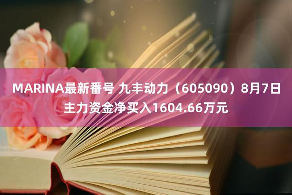 MARINA最新番号 九丰动力（605090）8月7日主力资金净买入1604.66万元