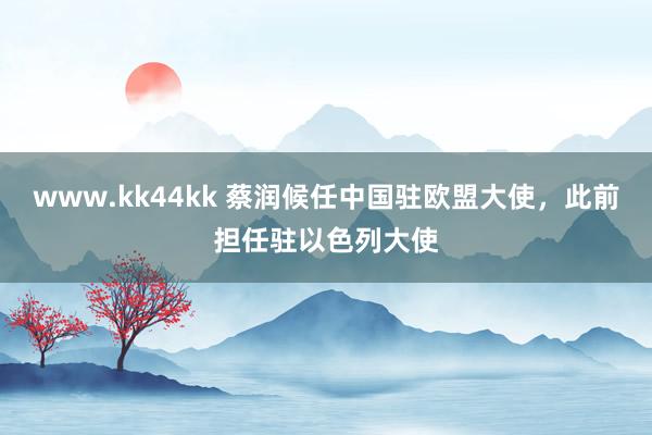 www.kk44kk 蔡润候任中国驻欧盟大使，此前担任驻以色列大使