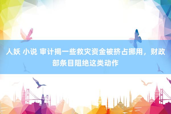 人妖 小说 审计揭一些救灾资金被挤占挪用，财政部条目阻绝这类动作